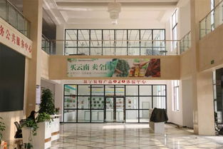 文山州兩園區(qū)獲推全國(guó)農(nóng)村創(chuàng)新創(chuàng)業(yè)典型 電子商務(wù)助力鄉(xiāng)村振興